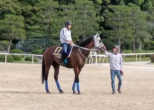 【宝塚記念・土曜気配】メイショウタバルは大阪杯に続くＤＰコースでの最終調整　落ち着きがあるからこそできた「変化」とは？