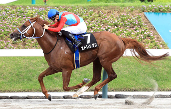 【注目馬動向】ジュライＳを制したストレングスは佐賀のサマーチャンピオンへ　エコロヴァルツは札幌記念を目標に