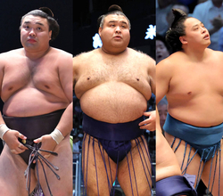 【１２日目の見所】過去の対戦成績は０勝１０敗　まったく歯が立たない霧島だが、今場所は違う　立ち合いで踏み込めば勝てる