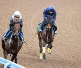 「【新潟２歳Ｓ・１週前】初陣３馬身差Ｖのレッチュベルクに田辺節で高評価「ラッキーで新馬を勝った馬ではない」」の画像1