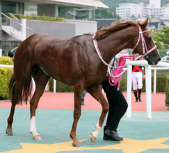 【１７日の注目・京都１０Ｒ】名より実を取った！？　本格化したオークス馬の弟が狙う３連勝　前走の２着馬は先週の競馬で驚きの…