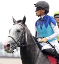 【注目馬動向・３歳＆古馬】アドマイヤテラは川田将雅騎手とのコンビ継続で有馬記念へ