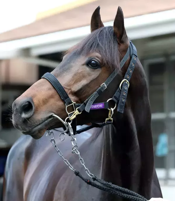 【大阪杯・超ブル診断データ編】高松宮記念で上位独占「おっさん」組より、川田将雅騎手×友道厩舎の４歳馬