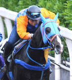 「０４年当時最高額４億９０００万円で落札のザサンデーフサイチが死ぬ　　２２歳　母エアグルーヴの良血」の画像1