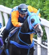 ０４年当時最高額４億９０００万円で落札のザサンデーフサイチが死ぬ　　２２歳　母エアグルーヴの良血