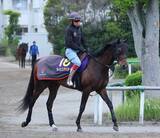「【日本ダービー・角田の特注馬】過去最高の動き！　ライヒスアドラーと佐々木大輔騎手が同期・今村聖奈騎手に続くＧ１初制覇だ」の画像1