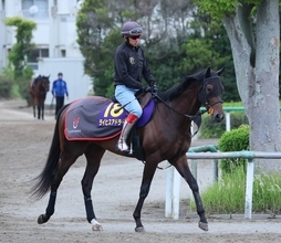 【日本ダービー・角田の特注馬】過去最高の動き！　ライヒスアドラーと佐々木大輔騎手が同期・今村聖奈騎手に続くＧ１初制覇だ