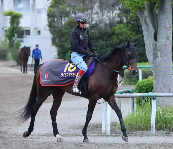 【日本ダービー・角田の特注馬】過去最高の動き！　ライヒスアドラーと佐々木大輔騎手が同期・今村聖奈騎手に続くＧ１初制覇だ