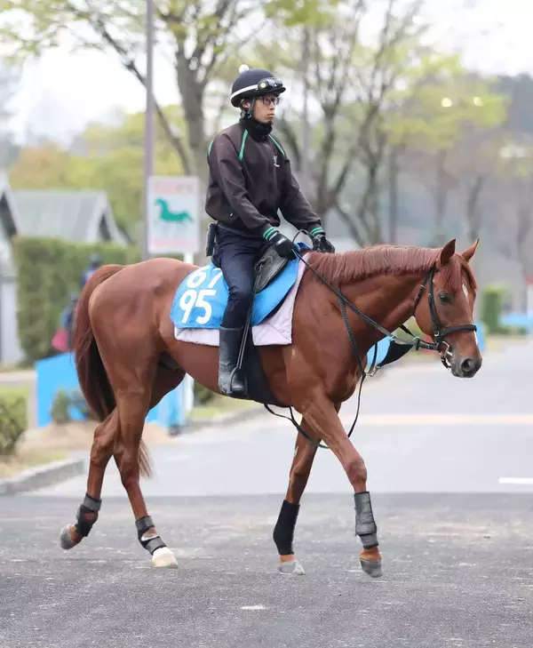 【注目馬動向】素質馬が再び重賞戦線へ　都大路Ｓ完勝のガイアメンテは小倉記念を目標　札幌２歳Ｓでは１番人気の素質馬