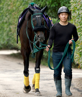 【注目馬動向】セイウンハーデスは放牧を挟んで毎日王冠へ　その後は天皇賞・秋を視野に