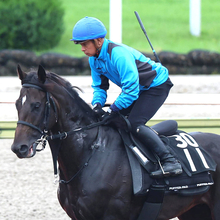 【岩田康誠の熱血！！競馬道】アスクエジンバラの４着は悲観する敗戦ではない「追い出した時の反応が違いました」