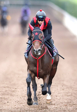 【スプリンターズＳ・土曜気配】３連勝で充実一途　フリッカージャブが中山入り　陣営「あとは馬と乗り役に任せる」