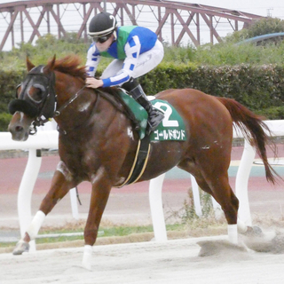 【東海クラウン・笠松】ゴールドボンドが８馬身差の逃亡劇　渡辺竜也騎手「強かったです」８番人気の伏兵が２着で３連単は１０万円超