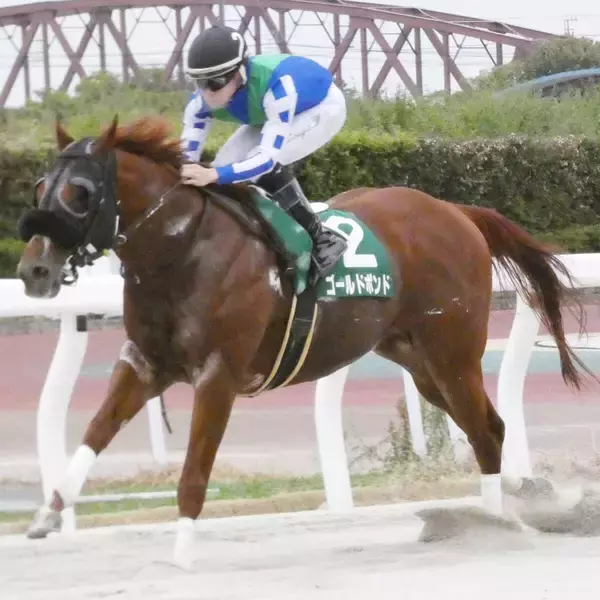 【東海クラウン・笠松】ゴールドボンドが８馬身差の逃亡劇　渡辺竜也騎手「強かったです」８番人気の伏兵が２着で３連単は１０万円超