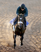 【チャンピオンズＣ】ルメール騎手騎乗のシックスペンスは１１着　初ダートだった南部杯は２着好走も…