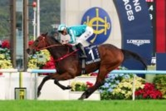 香港カップでのコース侵入について地元紙報じる　香港ジョッキークラブＣＥＯ「警備部門と対策を協議」