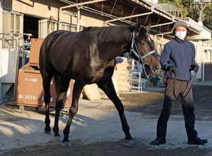 【朝日杯ＦＳ】前日最終オッズ１番人気はリアライズシリウスで２・８倍　１勝馬が３番手に浮上