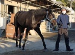 【朝日杯ＦＳ】前日最終オッズ１番人気はリアライズシリウスで２・８倍　１勝馬が３番手に浮上