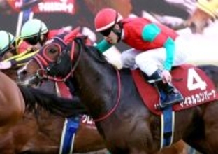 【ダイヤモンドＳ】大目標の天皇賞・春で”故郷”に錦を　青木調教師管理のマイネルカンパーナはキッツと同じ６歳で完成期