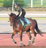 「【注目馬動向】鳴尾記念Ｖのデビットバローズは岩田望来騎手で大阪杯　デアヴェローチェは酒井学騎手で報知杯ＦＲへ」の画像1