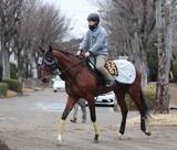 「日曜中山競馬場の注目激走馬…中山１１Ｒ報知杯弥生賞ディープインパクト記念・Ｇ２」の画像1