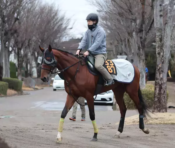 日曜中山競馬場の注目激走馬…中山１１Ｒ報知杯弥生賞ディープインパクト記念・Ｇ２