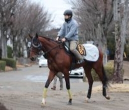 日曜中山競馬場の注目激走馬…中山１１Ｒ報知杯弥生賞ディープインパクト記念・Ｇ２