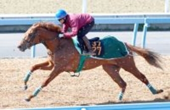 【スプリングＳ】笑顔の勝利目指してラストスマイルは余力残しの調整　杉原誠人騎手「だいぶ素直になっている」