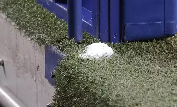 金村義明氏「盛れよ！　ドラゴンズ」に「うまいこと言うね」盛り塩効果？で３連勝の中日に言及「伯方の塩みたいにしたら売れる」