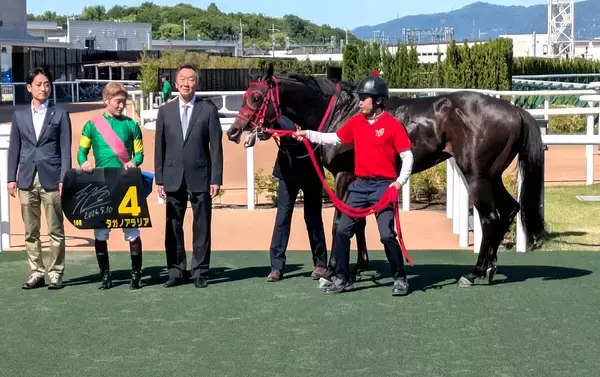 【京都１０Ｒ・橘Ｓ】タガノアラリアが鮮やか逃げ切りで３勝目　今後は葵Ｓ目標　鮫島克駿騎手「よく踏ん張ってくれた」
