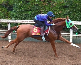 【秋華賞】競走中止のスウィートハピネスは最終コーナーで左前肢跛行を発症　モンローウォークが無敗Ⅴ