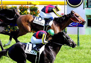 ２０１２年の日本ダービー馬ディープブリランテが天国へ旅立つ　矢作調教師「俺を男にしてくれた。感謝しかありません」