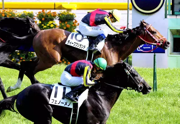 ２０１２年の日本ダービー馬ディープブリランテが天国へ旅立つ　矢作調教師「俺を男にしてくれた。感謝しかありません」