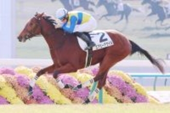 【私の推し馬】牝馬３冠戦線に進んでほしいエアビーアゲイル　半兄は大阪杯連覇のベラジオオペラ