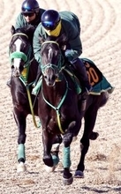 【京成杯】「やっぱり走る」斎藤誠調教師もほれぼれ　大敗のホープフルＳを叩いて調子が上向いたジーネキング　