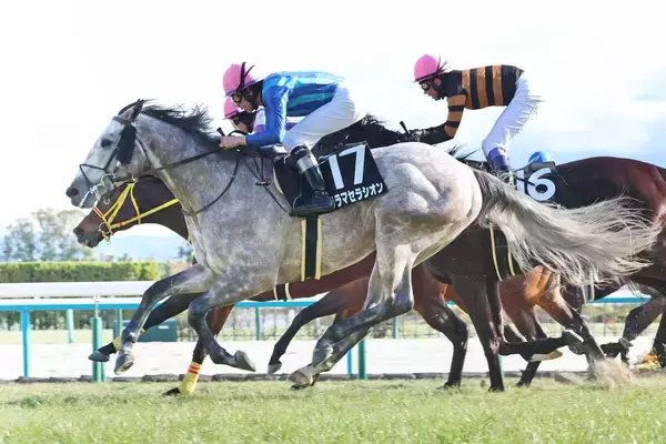 大竹調教師が京都１０ＲでＪＲＡ通算４００勝を達成　現役４１人目「回り道をした印象はありますね」