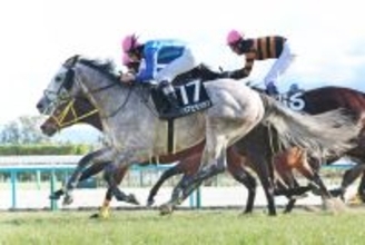 大竹調教師が京都１０ＲでＪＲＡ通算４００勝を達成　現役４１人目「回り道をした印象はありますね」