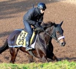 【注目馬動向・古馬】リラボニートは田山旺佑騎手との初コンビで愛知杯へ　佐賀記念５着のデルマソトガケはダイオライト記念