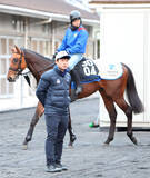 「天皇賞・春の父子３代制覇へ「特別な思いある」橋田宜長調教師初陣」の画像1