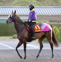 【ヴィクトリアＭ】良血馬ジョスランが戸崎圭太騎手と上々の初コンタクト　「十分にできているという感触」