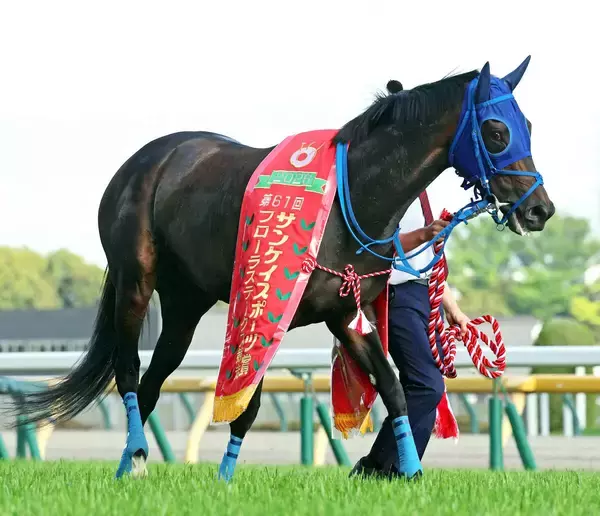 【注目馬動向】オークス向かうラフターラインズが美浦トレセン帰厩　重賞初制覇のフローラＳを「素晴らしい脚を...」と小笠調教師