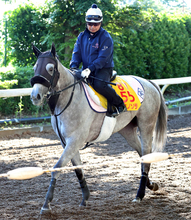 【府中牝馬Ｓ】コガネノソラ５着に悔やむ菊沢一樹騎手「自分も外を回る形に…」　２週連続ゴルシ産駒の重賞勝ちはならず