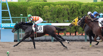 【函館８Ｒ】地元で快進撃　丹内祐次騎手が自身初の一日５勝に「よかった」５番人気アイファーシャドーで決めた