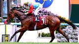 「【注目馬動向】香港最強スプリンターのカーインライジング始動戦が決定　「２１連勝を目指して…」シーズン開幕日に登場」の画像1