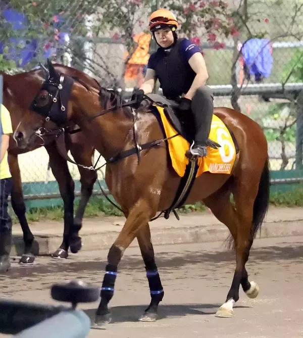 【セントウルＳ】「少し落ち着かない様子でしたが…」香港馬ファストネットワークが阪神競馬場に到着