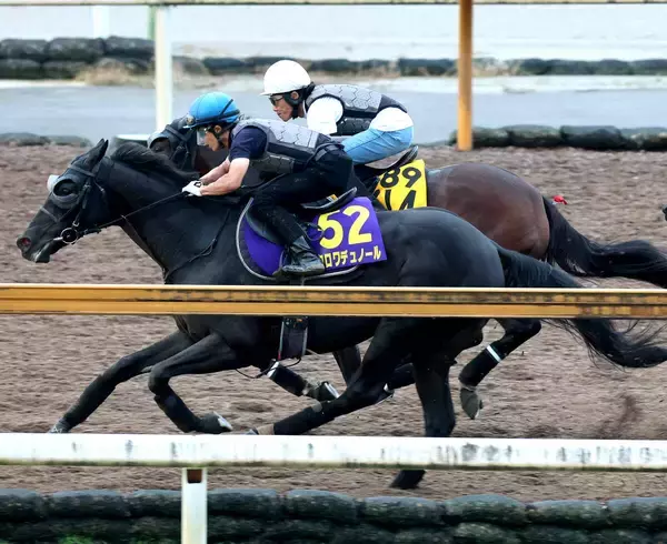 【天皇賞・秋】Ｇ１・４勝クロワデュノール、秋初戦へ外から豪快な伸び脚披露