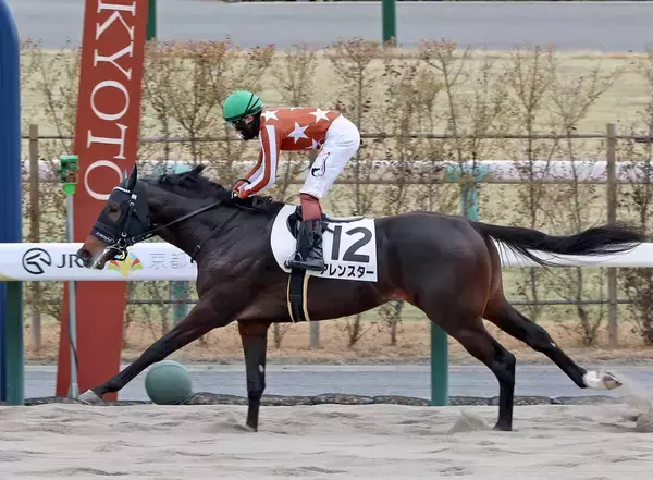 ９番人気で予想外の８馬身差Ⅴにネット仰天「なんでこんなに…」「嘘じゃん」　落札額１７００万円のアレンスター