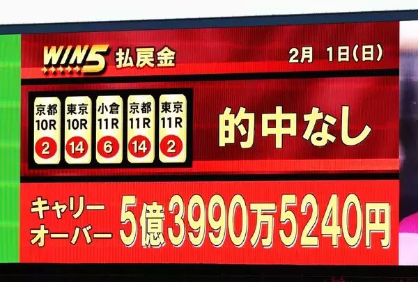 【ＷＩＮ５】対象２レース目の東京１０Ｒを制したのは２番人気ウェットシーズン　残り３９５万９６２７票に