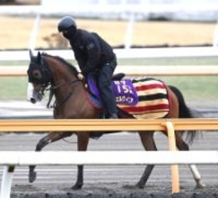 日曜中山競馬場の注目激走馬…中山１１Ｒ中山記念・Ｇ２