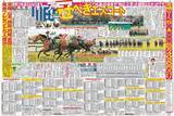 「【競走伝】「ヤバいと思った瞬間はなかったです」豪脚Ｖを引き出した川田将雅騎手の揺らがぬ自信　１４年・桜花賞２」の画像1